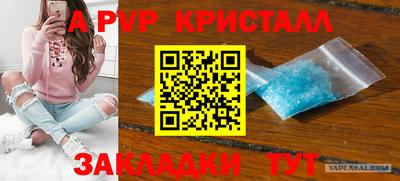 дмт Нальчик