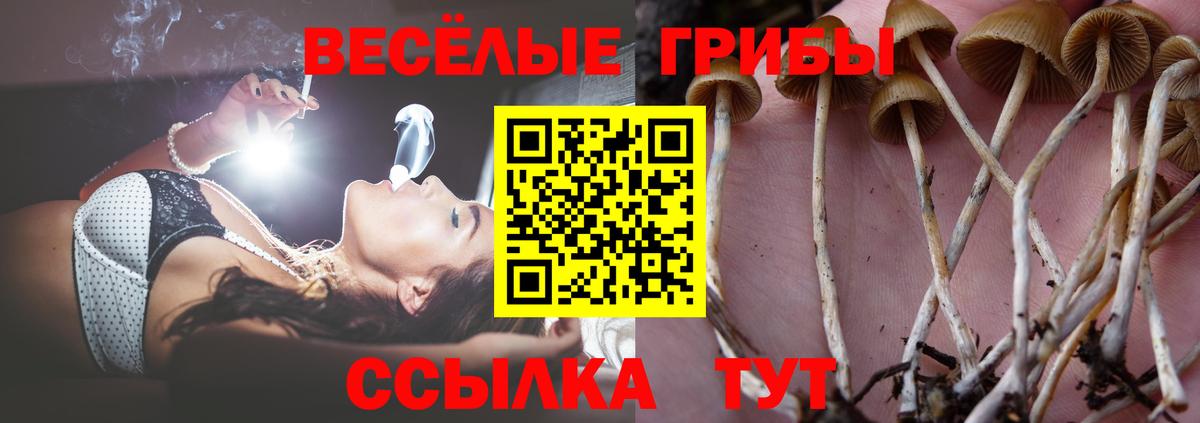 Псилоцибиновые грибы MAGIC MUSHROOMS Томск